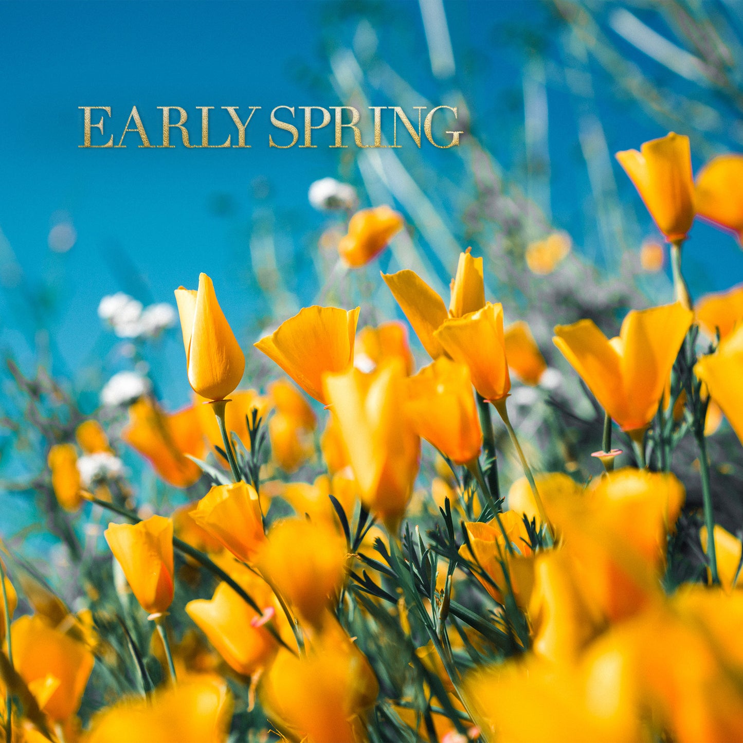 Early Spring