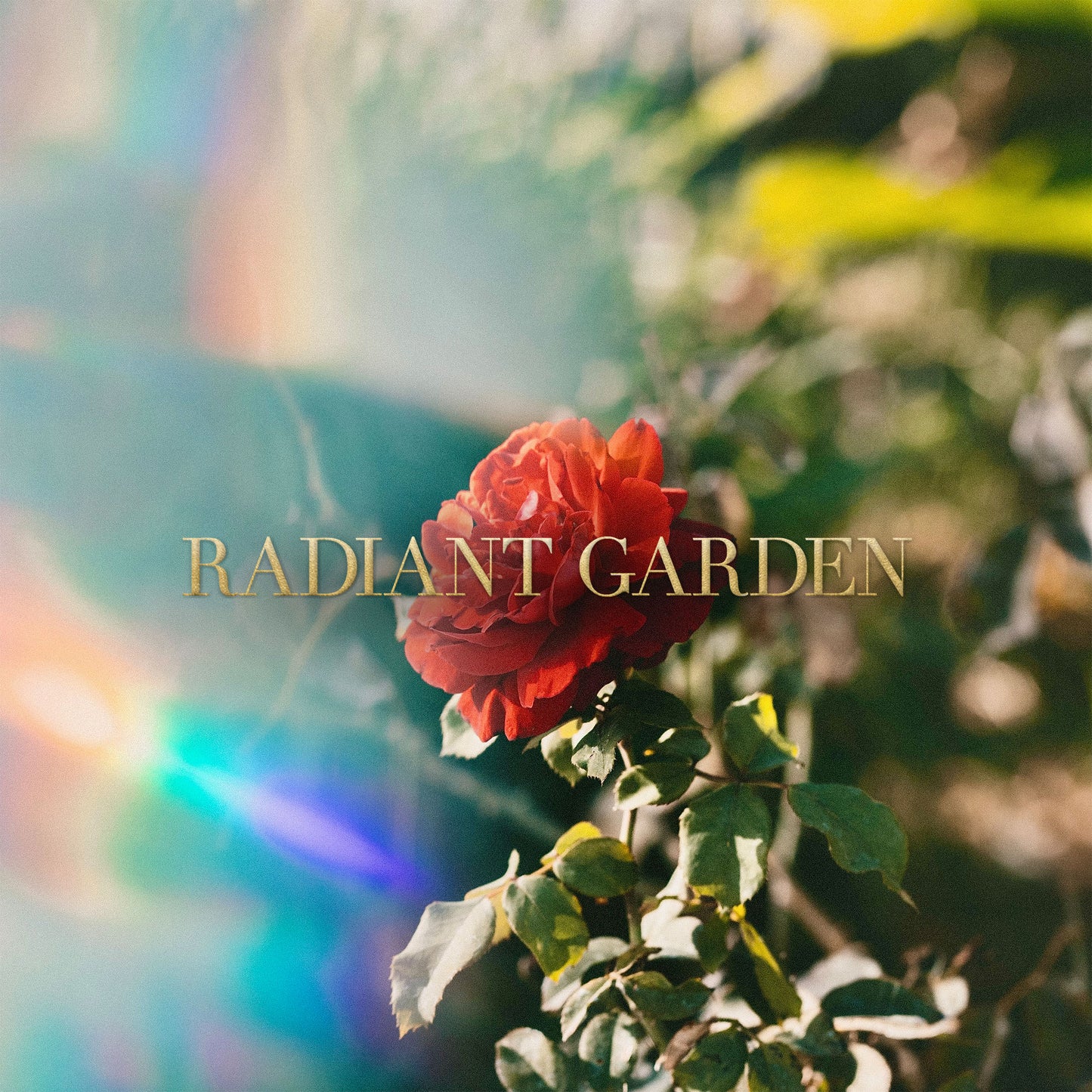 Radiant Garden