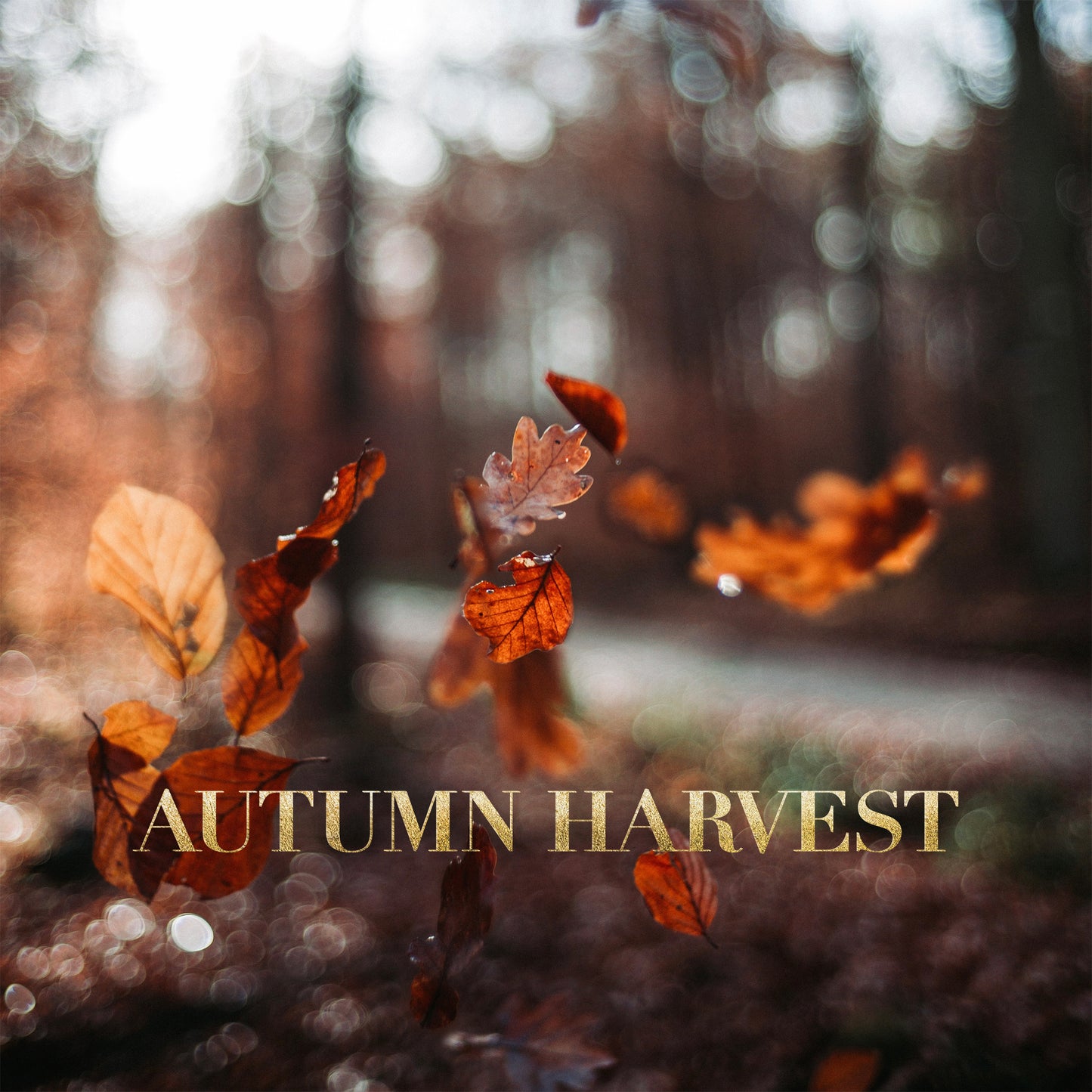 Autumn Harvest