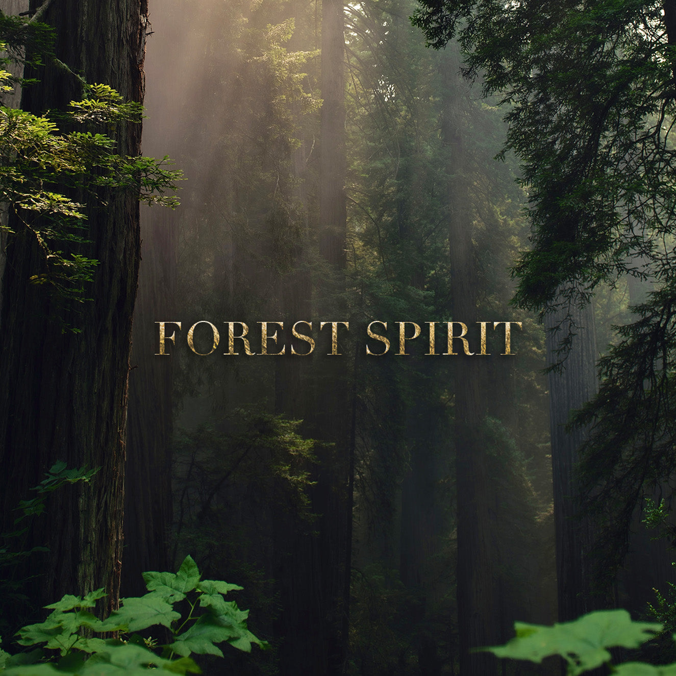 Forest Spirit