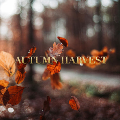 Autumn Harvest