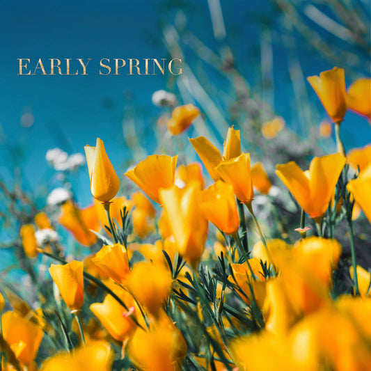 Early Spring