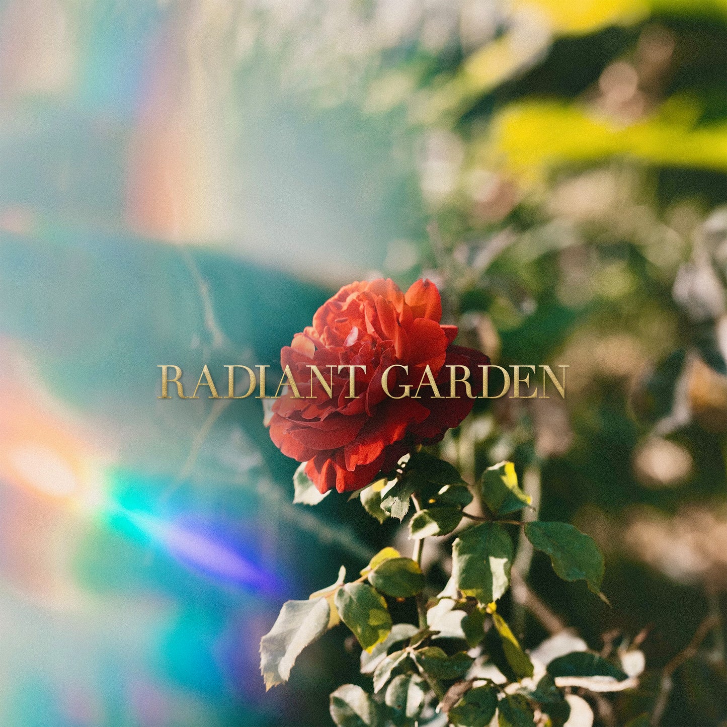 Radiant Garden